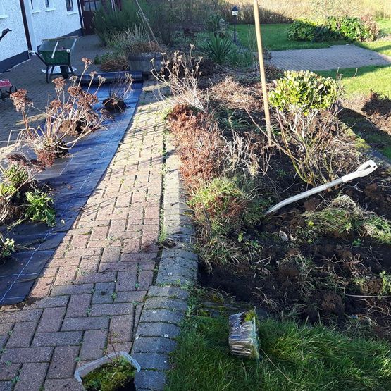 Restoration of Existing Raised Beds