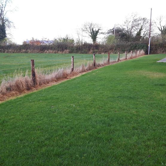 Hedge Planting