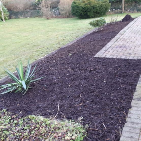 Restoration of Existing Raised Beds