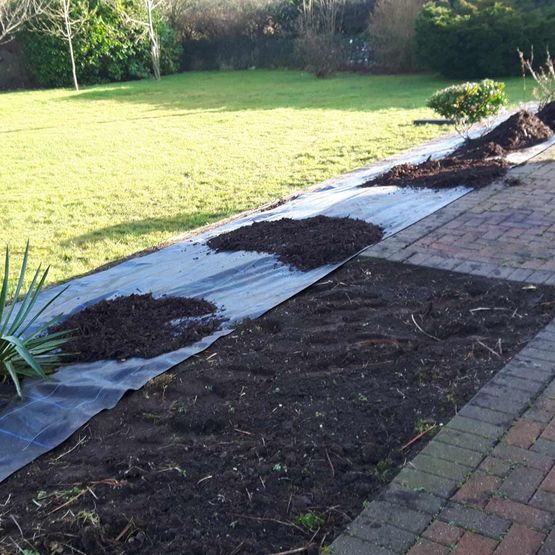 Restoration of Existing Raised Beds