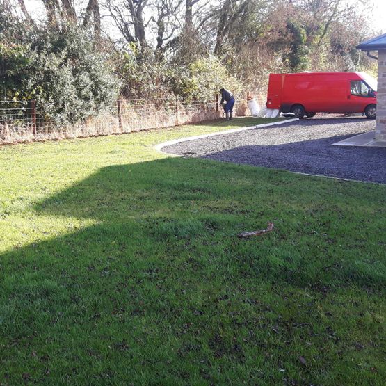 Hedge Planting