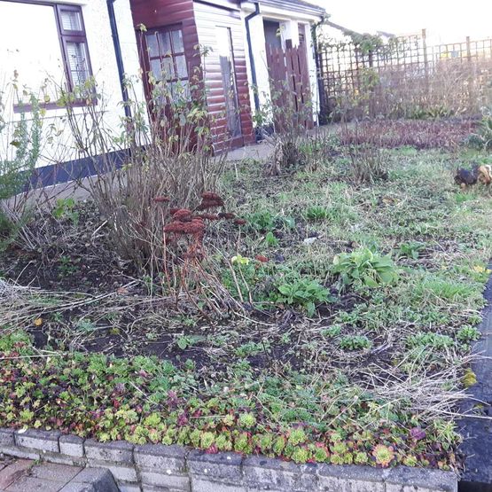 Restoration of Existing Raised Beds