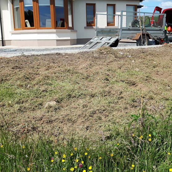 Stone Border & Flower Bed